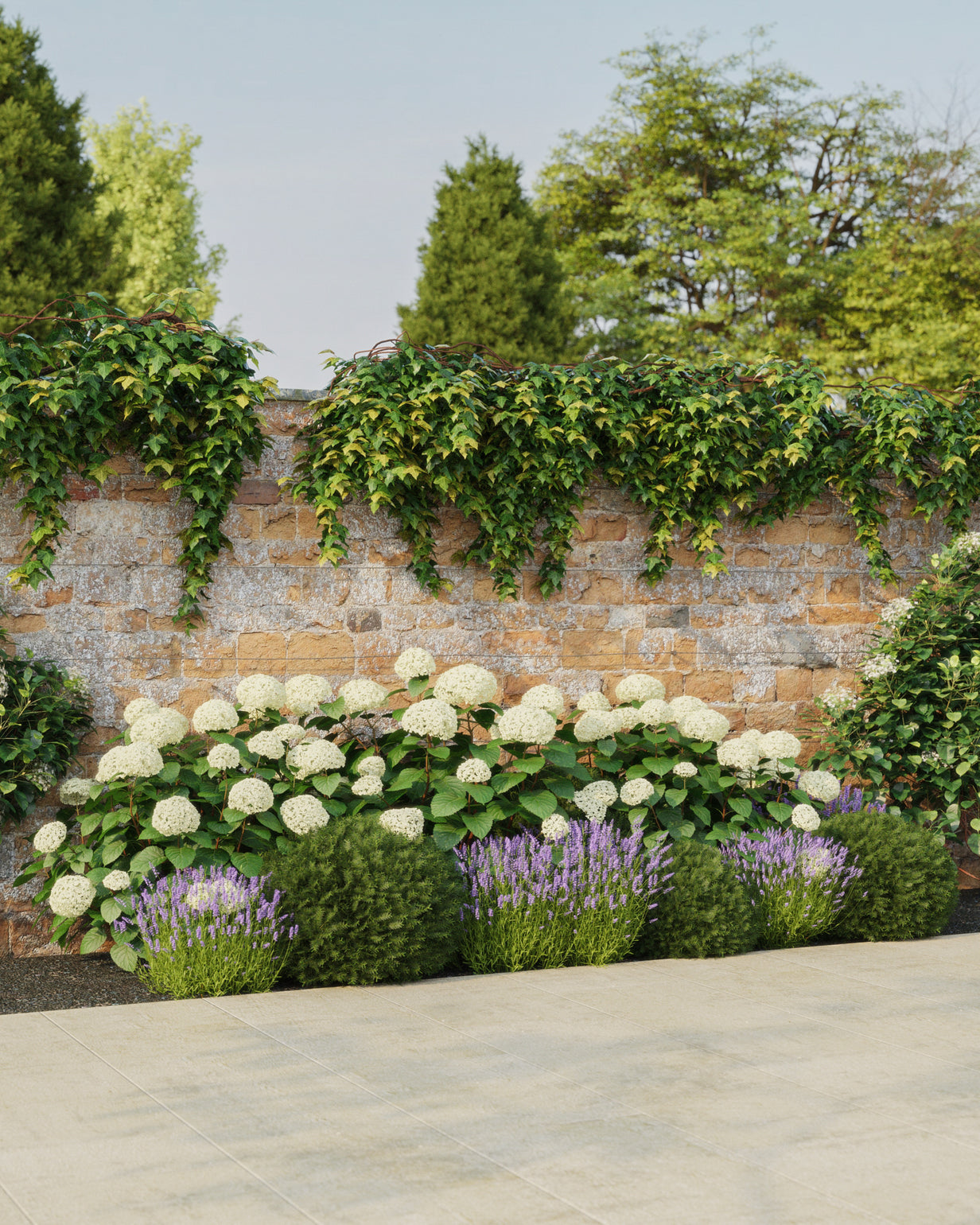 products/SOTOClassicProduct-ViewB-Sun3mWide.jpg